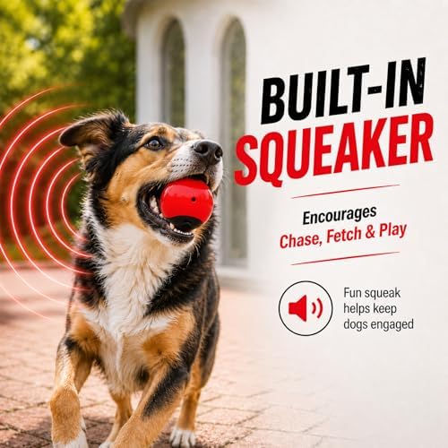 Squeaky Balls for Dogs, Interactive Rubber Fetch Toy for Small Medium Dogs