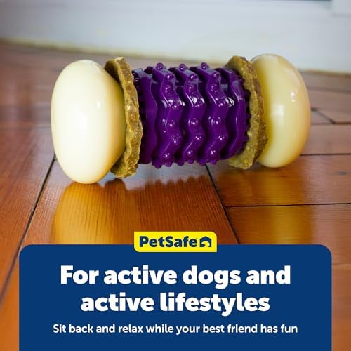 PetSafe Busy Buddy Nobbly Nubbly Treat Holding Dog Chew Toy, Medium