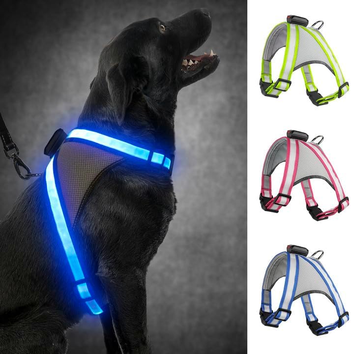 Visinite LED Dog Harness, USB Rechargeable Light Up Dog Vest, 2 Illuminate Modes Glow in The Dark Dog Harness, Adjustable Lighted Pet Harness Light for Night Walking Safety(Blue, L)
