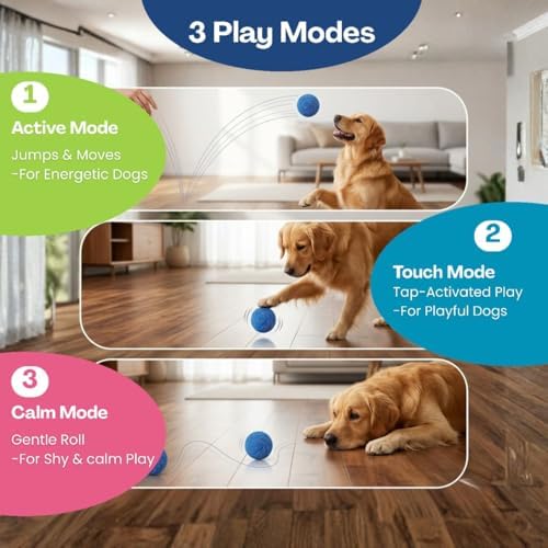X11PAWS Wicked Ball AIR, Automatic Interactive Dog Toy, USB Rechargeable