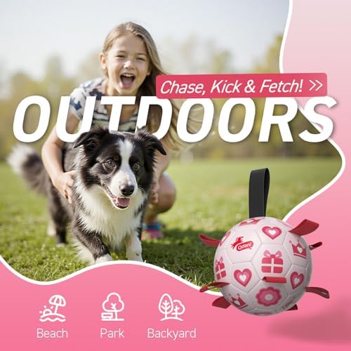 QDAN Valentines Gift Dog Toys, 8 Inch Dog Soccer Ball with Straps, Pink