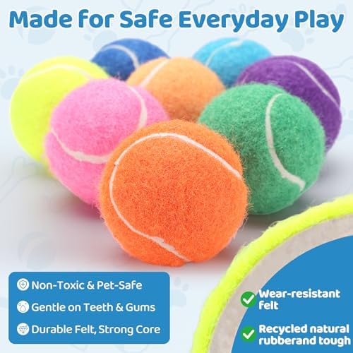 Tennis Balls for Dog 2.5'' Durable Non-Toxic Outdoor Dog Toys Balls with Mesh Bag,Colorful Fetch Toys Balls for Medium Dog (Non Squeaky)