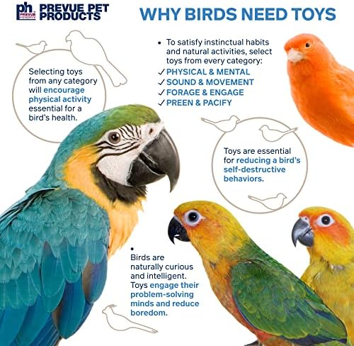 Prevue Pet Products Naturals Preen & Pacify Woodland Harvest Bird Toy