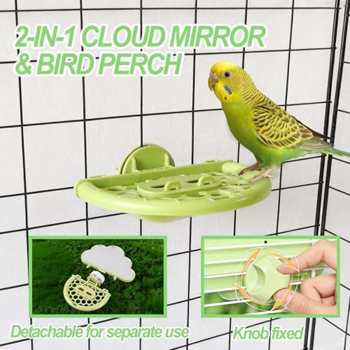 Bird Mirror with Perch Stand & Slow Feeder,Parrot Toys Swing(Green)