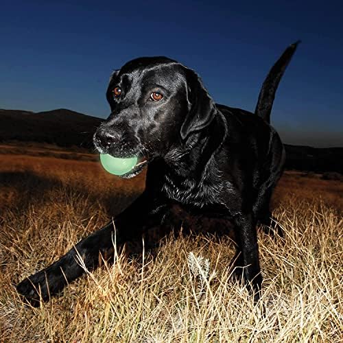Chuckit! Glow in the Dark Bouncy Balls - Ball for Dogs, Chuckit Dog Toy, Max Glow Balls - Medium, 2.5 Inch, Pack of 4
