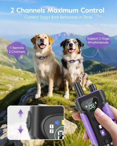 SLOPEHILL Dog Shock Collar 2 Dogs (8-140Lbs),4200FT Dog Training Collar | IP68 Waterproof e Collar with Beep,Vibration,Safe Shock,Flash Light,No Shock Model, Shock Collar for Dogs with Remote,Purple