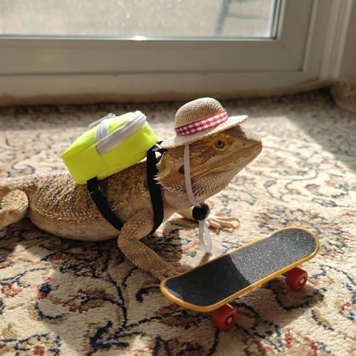3 Pack Bearded Dragon Toy Set Includes a Bearded Dragon Backpack, an Adjustable hat, and a mini Skateboard Toy, for Small Reptile Pets Such as Lizards, Hamsters, Parrots, and Turtles.（Yellow）