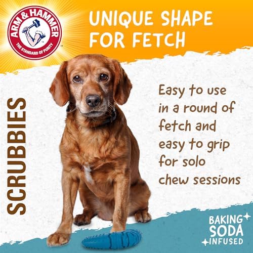 Arm & Hammer Scrubbies Boomerang Rubber Dental Chew Toy, Large, 7 in