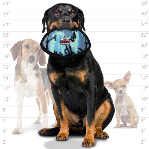 TUFFY® 2 Pack Flyer and Odd Ball Ultra Durable Plush Dog Toys