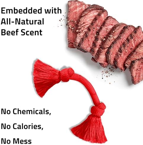 Playology Tug Rope Dog Toys for Medium Dogs - Medium, Beef Scent