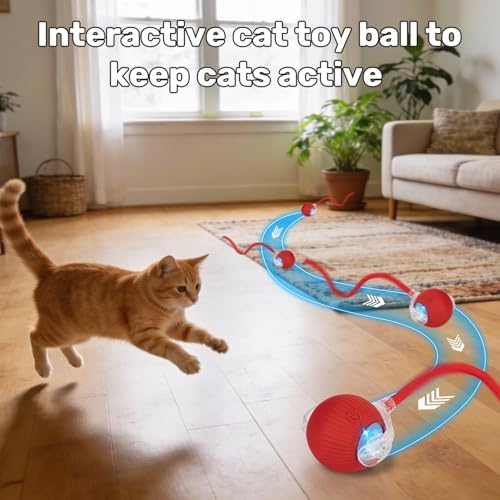 Cat Toy, Electric Interactive Toys for Indoor Cats, Red