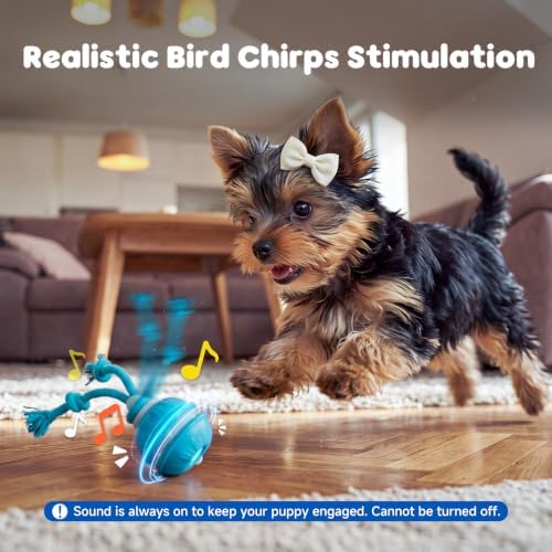 Interactive Small Dog Toys Ball, Smart Automatic Moving Rolling Dogs Toy