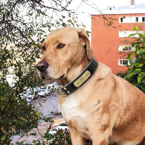 Personalized Genuine Leather Dog Collar with Engraved Name Plate - Durable and Stylish Custom Dog Collar for Small, Medium, and Large Dogs (S,Black)