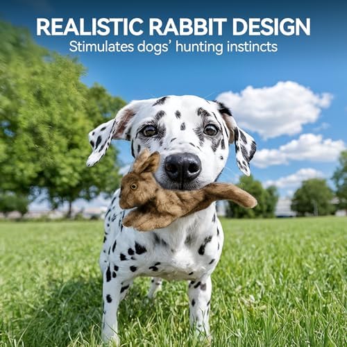 ALL FOR PAWS Squeaky Dog Toys, Dog Stuffed Animal Toys, Plush Toy for Small Medium Large Dogs, Puppy Chew Toy with Squeaker, Brown Rabbit-S