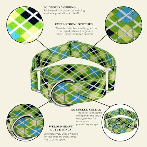 Country Brook Petz - HossFit Jr Wide Martingale Dog Collar - Plaid and Argyle Collection Featuring Charming Designs (Margarita Argyle, Medium)