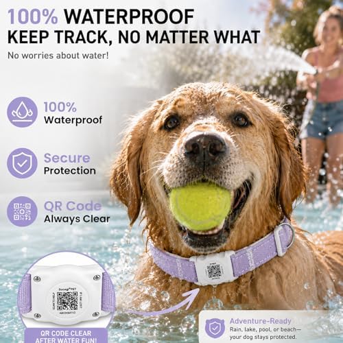 AirTag Dog Collar with QR Code ID, Collar with Air Tag Holder,Purple, XL