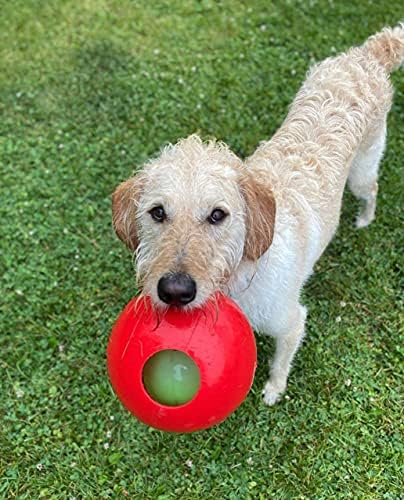 Jolly Pets Teaser Ball Interactive Dog Toy, 6 in Medium, Red