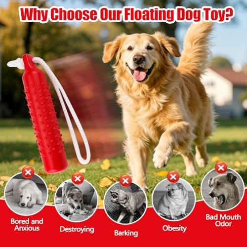 Dog Float Toy, Retriever Training Dummy, Floating Dog Toys for Water Fetch, Lightweight for Float on The Water Pool Fetch Rope, Interactive Pool Toy for Small to Large Dogs