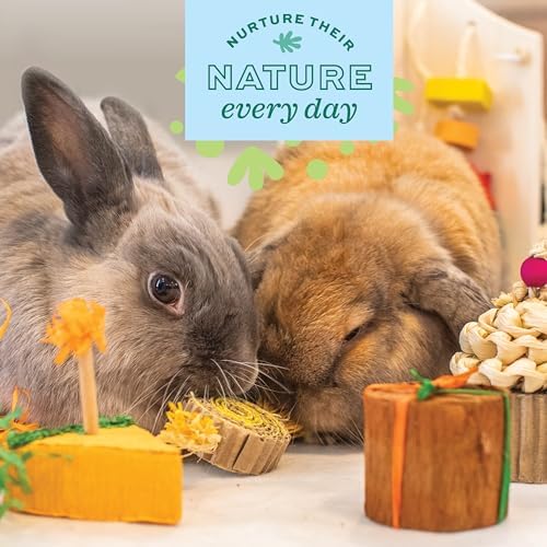 Oxbow Birthday Party Pack, Rabbit & Guinea Pig Toys, Bunny Enrichment Toys