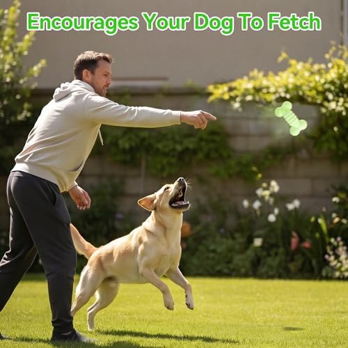 ALL FOR PAWS Dog Bone Toy, ETPU Bouncy Fetch Toys for Dog, Lightweight Dog Bone Toys for Medium & Large Dogs, High-Rebound Dog Interactive Toy for Outdoor & Indoor