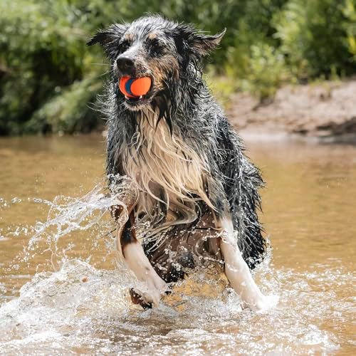 Chuckit! Ultra Ball Dog Toy - Size Large - for Dogs 60-100 lbs - Made from Durable Rubber - Super Bouncy - Floats in Water - 3-inch Diameter - Large (Pack of 12)