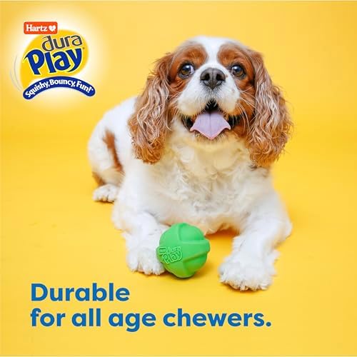 Hartz DuraPlay Bacon Scented Dog Toys, Small (Assorted Color)