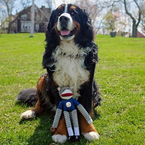 Littlearth NFL Chicago Bears Sock Monkey Pet Toy, Team Color, One Size