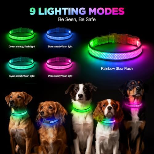 Flashseen Light up Collars for Dogs at Night, RGB 9-Mode, USB Rechargeable | Color Changing LED Lighted Dog Collar, Super Bright Adjustable Glow Collar for Night Walking (Cyan, Small)