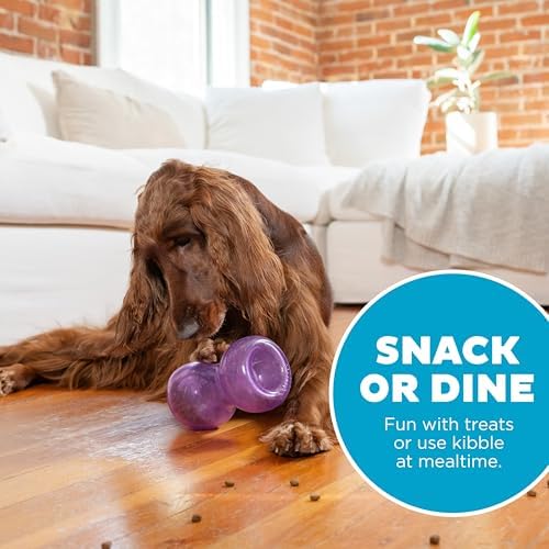 Outward Hound Double Snoop Interactive Treat Dispensing Dog Toy, Purple, 6" | Rolls & Bounces, Treat Stuffer, Puzzle Ball & Slow Feeder, Enrichment, Mint Scented, Easy Clean, No BPA, Medium to Large Dogs