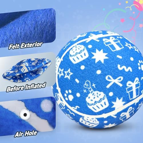 QDAN Dog Gifts, Puppy Dog Birthday Toys, Tennis Ball for Dogs, 9.5 Inch