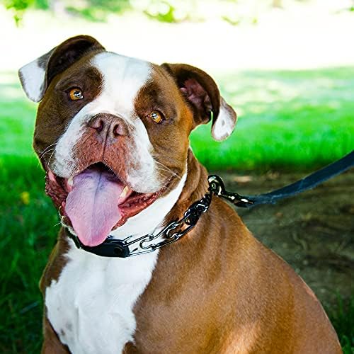 Herm Sprenger Quick Release Dog Training Collar Black Stainless Steel No Pull Collar Easy Leather Buckle Release Unique Tactical Look for Large Pet Dogs (18-26" Neck, 3.2mm Links)