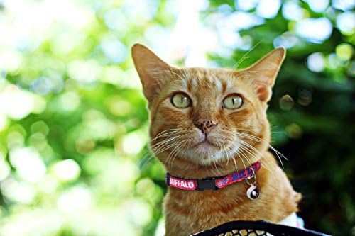 Pets First COLLAR for CATS - NFL BUFFALO BILLS CAT COLLAR. - Strong & Adjustable FOOTBALL Cat Collars with Metal Jingle Bell