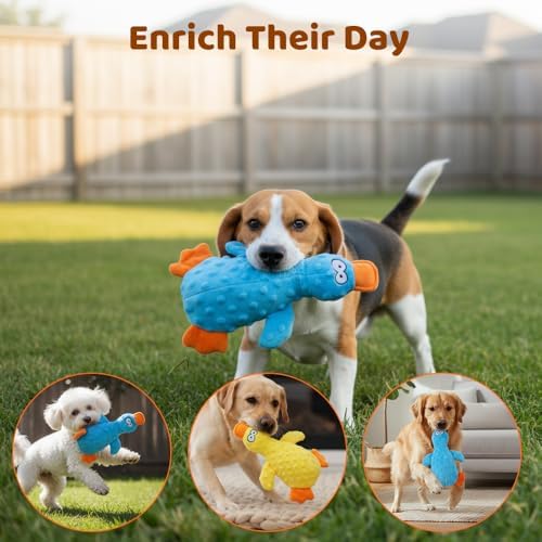 Cecurpo Interactive Squeaky Duck Dog Toy with Built-in Sound for Aggressive Chewer (Light Green)