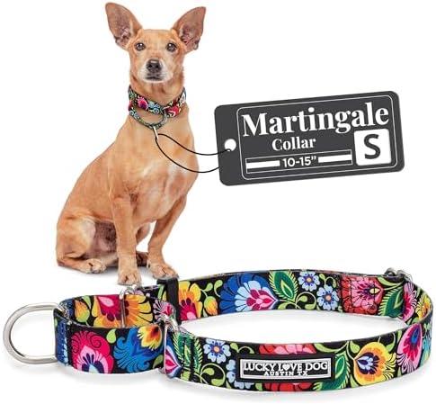 Lucky Love Dog Martingale Collar for Small Dogs No Slip – Blackbird, Small