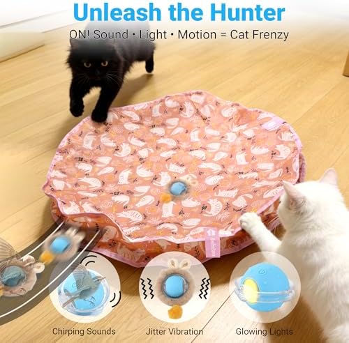 Cat Toys for Indoor Cats, Interactive Cat Toy for Adult Cats
