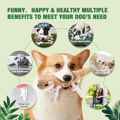 LEGEND SANDY Dog Squeaky Toys for Puppy, 5 Pack Small Dog Toys, Stuffed Animal Puppy Toys with Tug of War Ropes Value Bundle, Puppy Chew Toys for Teething with Squeakers Small Medium Breeds