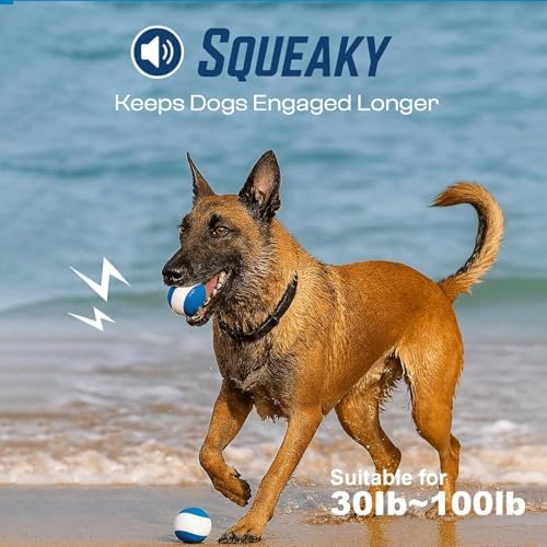 Squeaky Dog Toy – Durable Rubber Dog Ball for Medium & Large Dogs, Tough Interactive Fetch Toy for Chewers, Outdoor Training & Play Ball, Floating Water Play Gift.Ocean