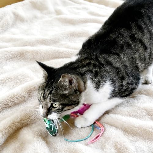 Catnip Cat Toys Fish, 3 Pack Catnip Crinkle Sound, Soft and Durable, Interactive Kitten Kicker for Indoor Cat Kitten Exercise