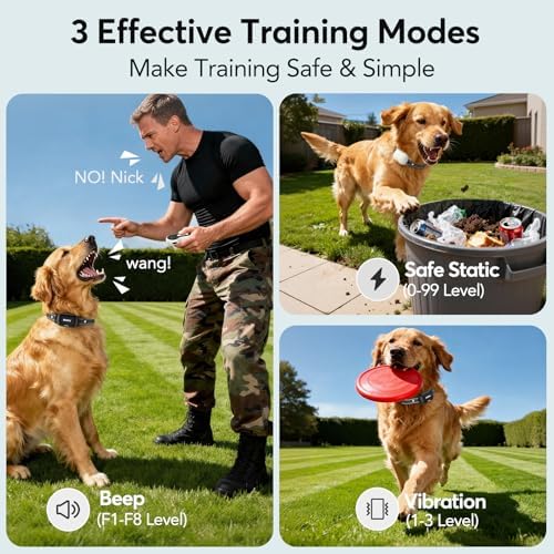 Shock Collar for 2 Dogs with Remote- 4500FT Dual-Direct Training Collars