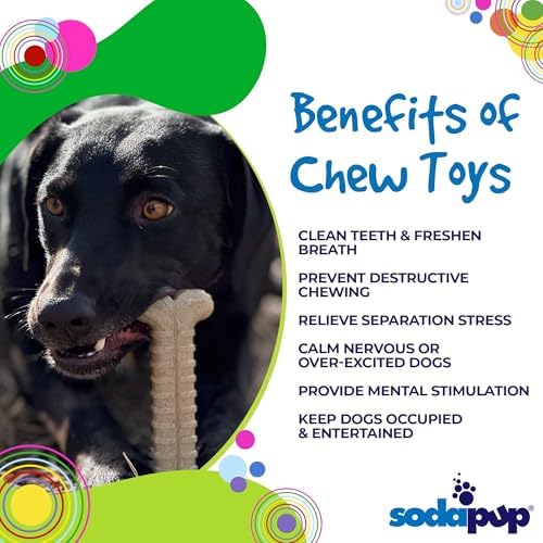 SodaPup Tough Bone – Durable Nylon Dog Chew Toy Made in USA from Non Toxic Pet Safe Food Safe Material for Aggressive Chewers, Dental Support, Mental Stimulation, Fresh Breath, & Problem Chewing