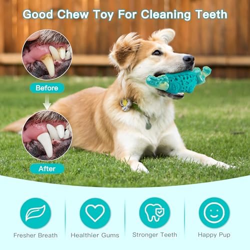 Dog Toys for Aggressive Chewers, Tough Squeaky Dog Chew Toy