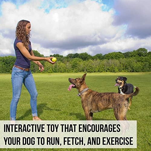 Hyper Pet Fetching Dog Toys - Throwing Ball Dog Toy Made with EVA Foam - Lightweight & Floats on Water,Green
