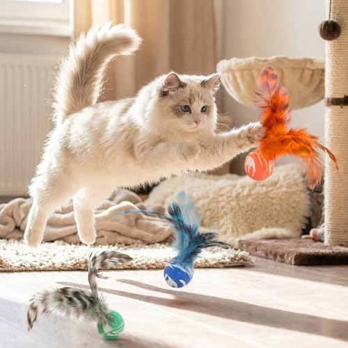 5 Pcs Bouncy Balls for Cats Chasing- Cat Feather Toy with Natural Feather