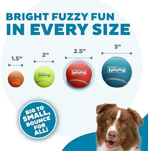 Outward Hound Squeaker Ballz Tennis Ball Dog Toy, Medium, 2.5", 4‑Pack | Squeaks & Bounces, Bright Colors, Interactive Fetch & Training, Indoor Outdoor, Moderate Chewers, Medium Dogs (Under 50 lbs)