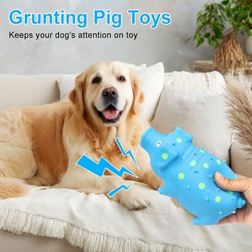 Squeaky Pig Dog Toys, Interactive Durable Latex Rubber that Oink Pig Chew Toy for Medium Large Dogs 2 Pack (Blue+ Purple)