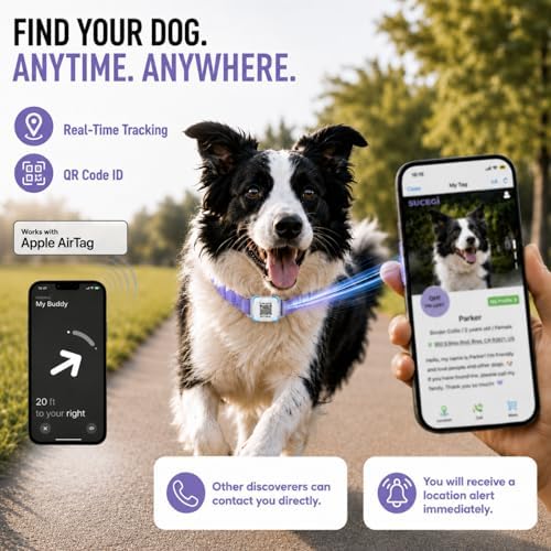 AirTag Dog Collar with QR Code ID, Dog Collar with Air Tag Holder,Purple, L