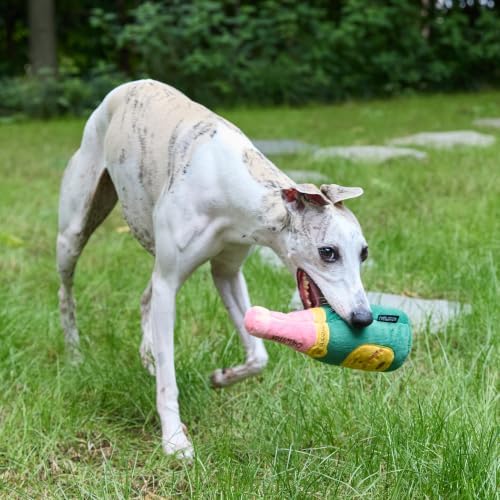 CHEWFFON Enrichment Dog Toy, Interactive Squeaky Small Champagne Bottle