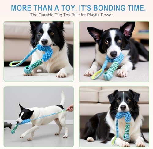 Dog Tug Toy - Interactive Dog Rope Toys, Stretchy Bungee Handle, Strong Squeak Rope Toy for Large Dogs, Puppies, Middle Dogs (Blue)