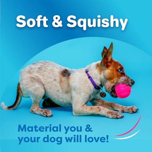 Hartz DuraPlay Bacon Scented Dog Toys, Small (Assorted Color) (Pack of 2)