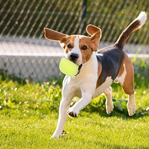 Dog Toys Balls - Chewable Plush Tennis for Dogs, Soft Pet Ball